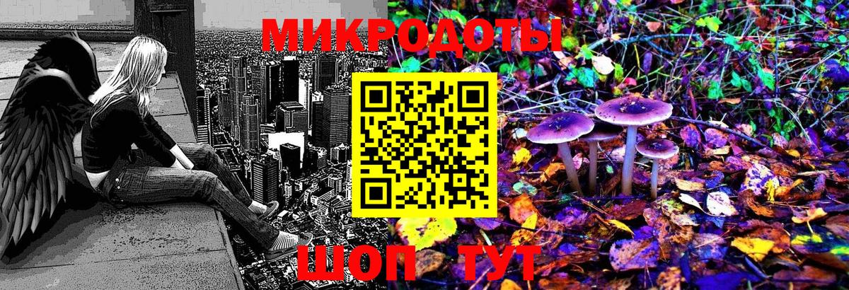 Артём  Галлюциногенные грибы MAGIC MUSHROOMS  Вход с VPN 
